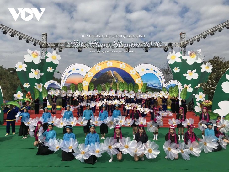 Eröffnung des Blumenfests So Binh Lieu 2020 - ảnh 1
