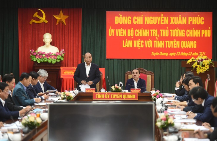 Premierminister: Tuyen Quang soll ein Entwicklungsschwerpunkt vietnamesischer Holzbranche sein - ảnh 1