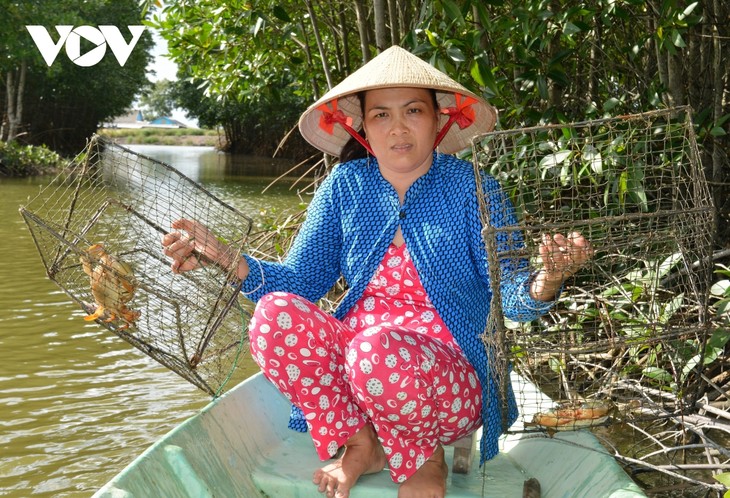 „Fest der Krabben Nam Can” in Provinz Ca Mau wird im September stattfinden - ảnh 1