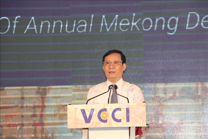 Jahreswirtschaftsbericht über die Region im Mekong-Delta 2022 veröffentlichen - ảnh 1