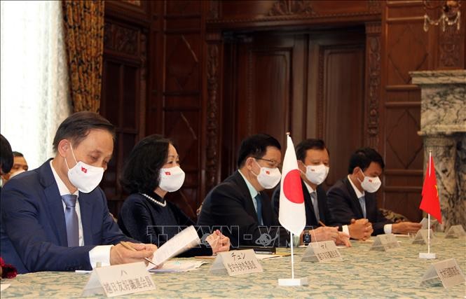 Vietnam will gemeinsam mit Japan die Beziehungen stärker vertiefen - ảnh 1