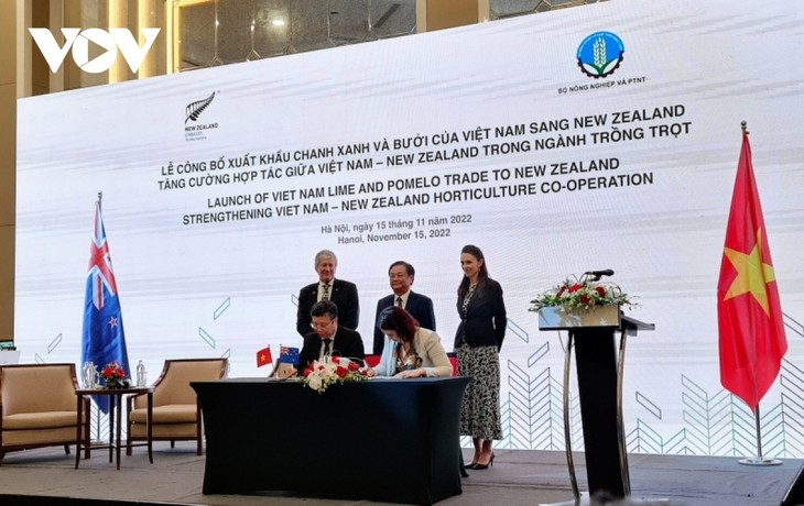 Vietnam wird Limetten und Pomelo nach Neuseeland exportieren - ảnh 1
