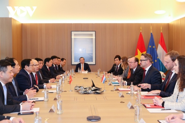Stärkere Partnerschaft und Zusammenarbeit zwischen Vietnam und Luxemburg - ảnh 1