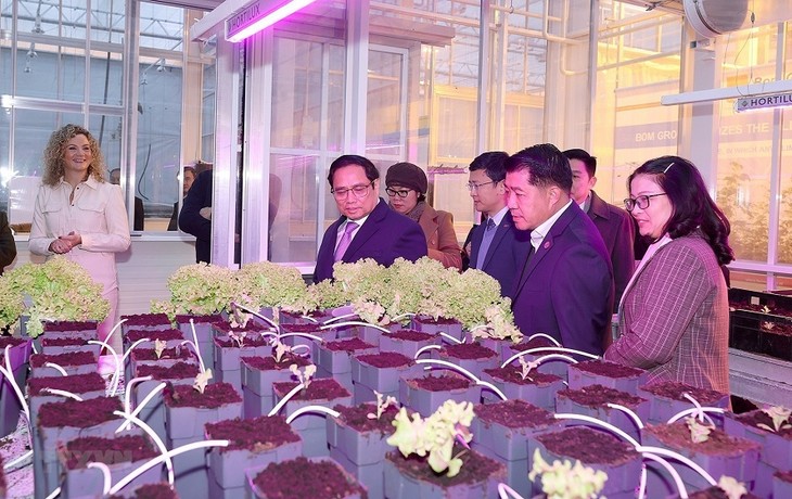 Premierminister Pham Minh Chinh besucht World Horti Centre in Südholland - ảnh 1
