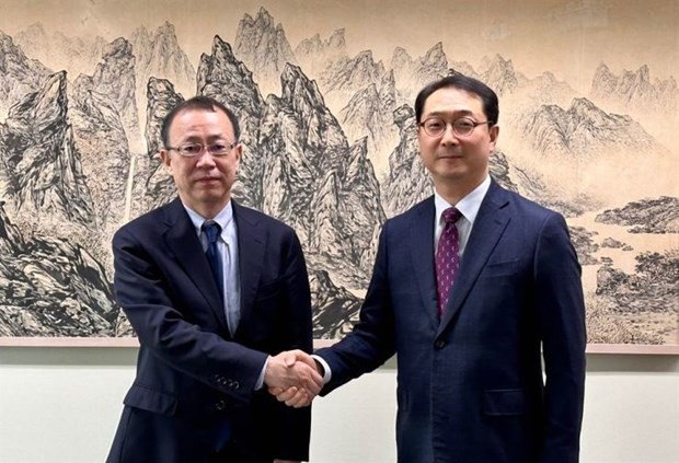 Japan und Südkorea unterstreichen Zusammenarbeit in Nordkoreapolitik - ảnh 1