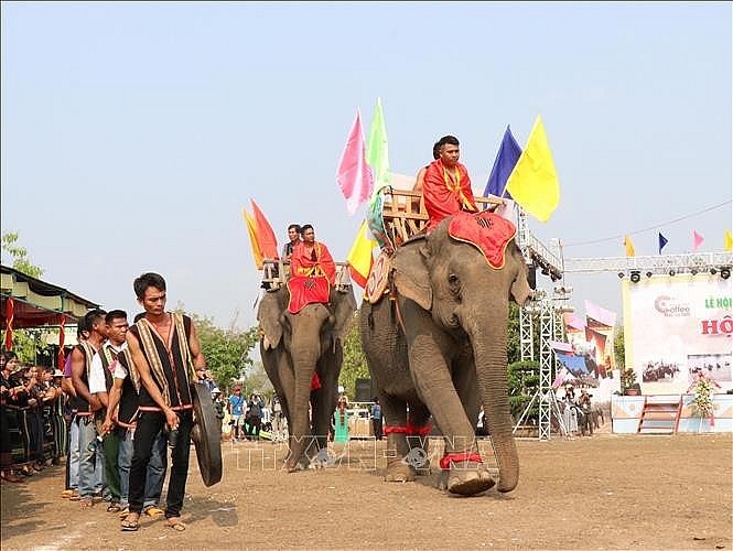 Elefanten-Fest im Kreis Buon Don erneuern - ảnh 1