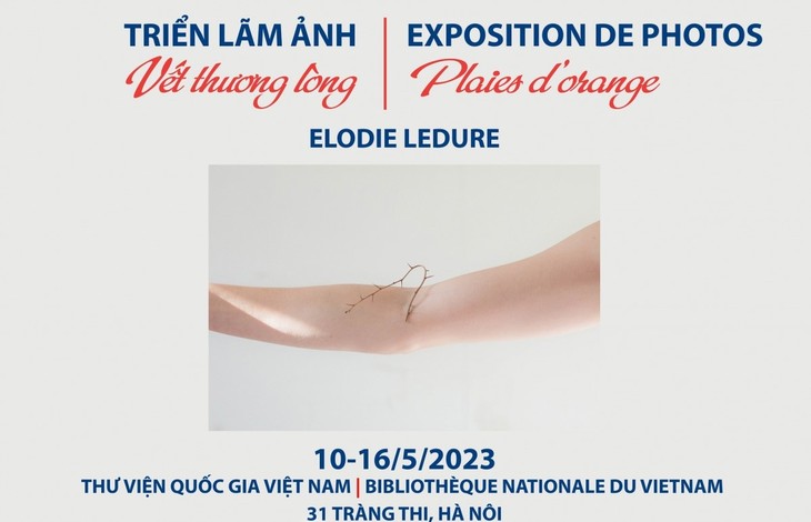 Ausstellung “Plaies d’Orange” der belgischen Fotografin in Hanoi - ảnh 1