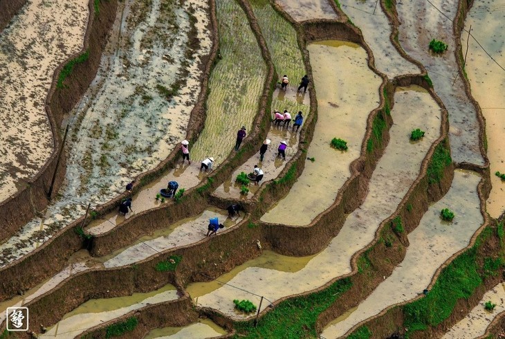 Schönheit der Reisterrassen in der Zeit der Wasserfelder - ảnh 4