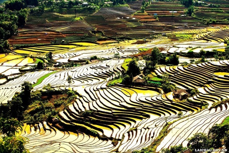 Schönheit der Reisterrassen in der Zeit der Wasserfelder - ảnh 8