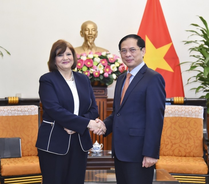 Außenminister Bui Thanh Son empfängt der ägyptischen Botschafterin in Vietnam - ảnh 1