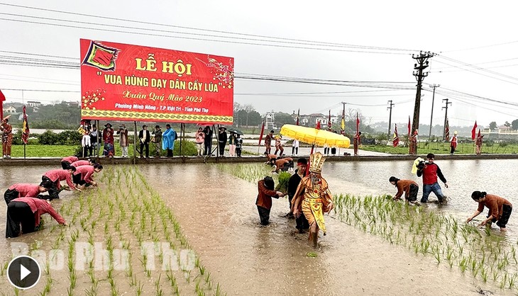 Lebhaftes Fest „Hung-Könige bringen Bürgern den Reisanbau bei“ - ảnh 1