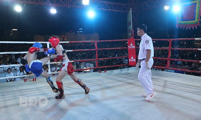 Kampfkunst-Wettbewerb beim Amazing Binh Dinh-Fest 2024 - ảnh 1
