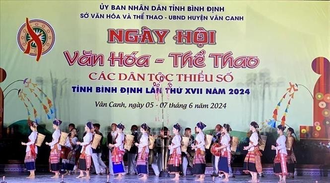 Kultur- und Sportfesttag der ethnischen Minderheiten in Binh Dinh - ảnh 1