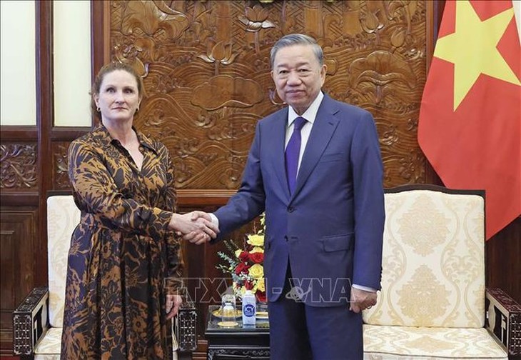 Staatspräsident To Lam empfängt Neuseelands Botschafterin in Vietnam - ảnh 1