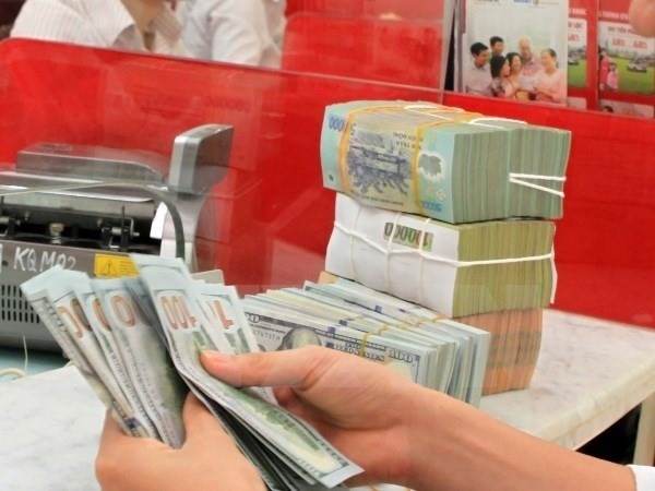 Vietnam’s foreign reserves reach record high  - ảnh 1