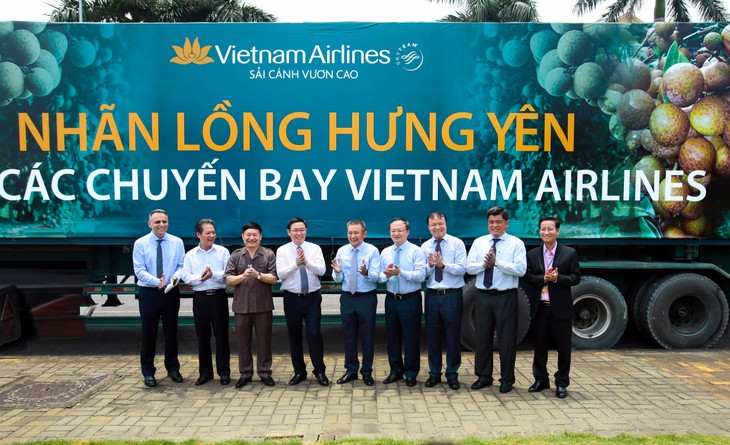 Vietnam Airlines to serve fresh longan   - ảnh 1