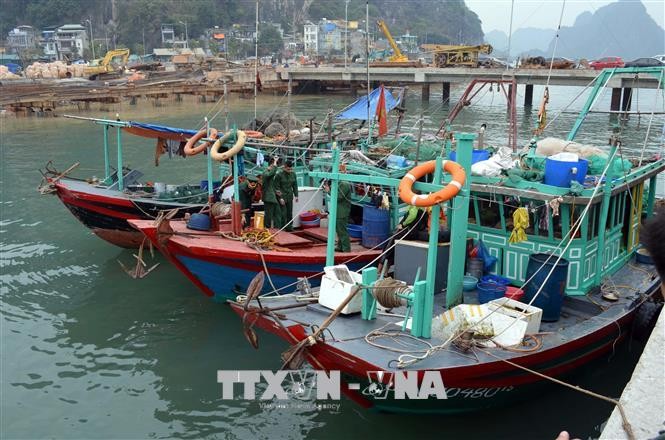Fishing to be banned at Ha long Bay - ảnh 1