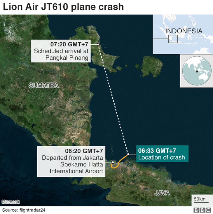 Lion Air plane had airspeed problem on flight prior to crash, says investigator - ảnh 1