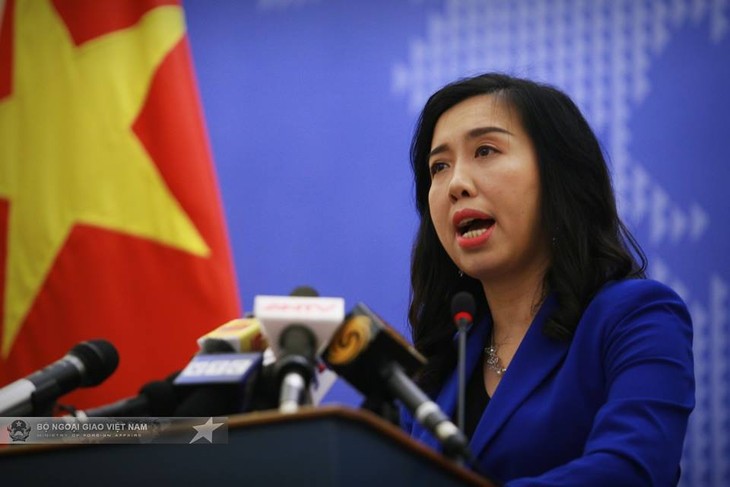 Vietnam resolved to fight violations of its sea areas: spokesperson  - ảnh 1