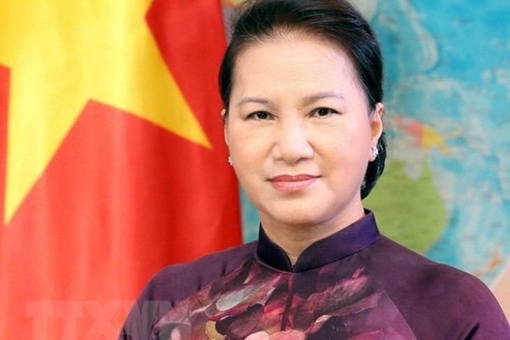 Vietnam to host AIPA 41 in 2020 - ảnh 1