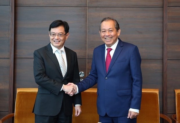 Singapore considers Vietnam successful development model - ảnh 1