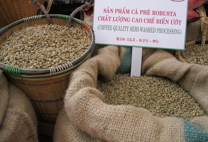 Vietnam now Japan's top coffee supplier - ảnh 1