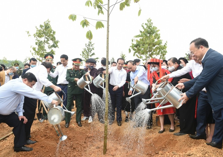 One billion tree program launched in Tuyen Quang  - ảnh 1