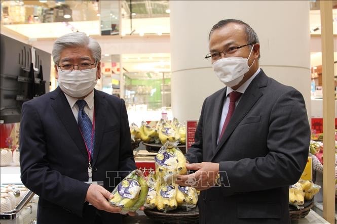 Vietnamese bananas conquer Japanese market - ảnh 1