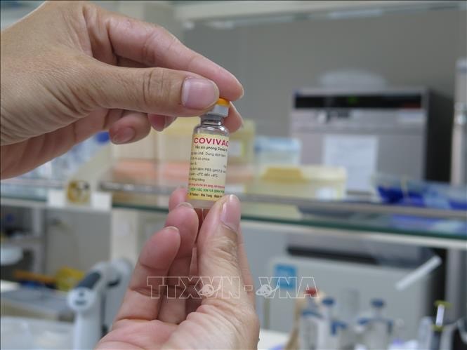 Vietnam aims to have at least one homegrown COVID-19 vaccine this year  - ảnh 1