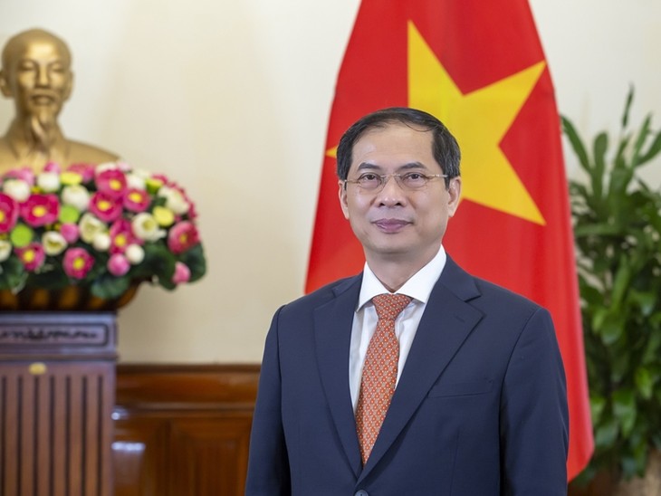 Diplomatic sector effectively serves national construction and defense: FM  ​ - ảnh 1