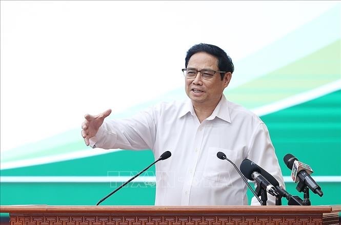 PM urges Mekong Delta to change agricultural development mindset - ảnh 1