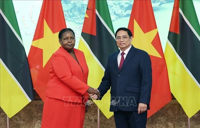 Mozambique is a key partner of Vietnam in Africa: PM - ảnh 1