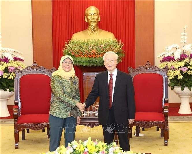 Vietnamese leaders receive Singaporean President  - ảnh 1