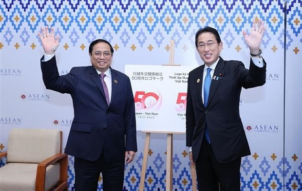 Japan to open for Vietnamese longan  - ảnh 1