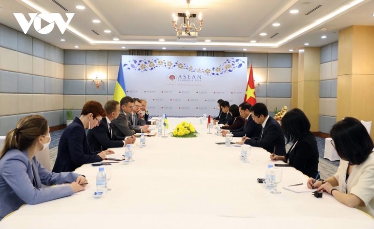 Vietnam ready to help seek solutions to Russia-Ukraine conflict - ảnh 2