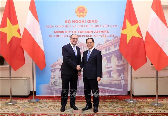 Top diplomats of Vietnam, Austria hold talks - ảnh 1