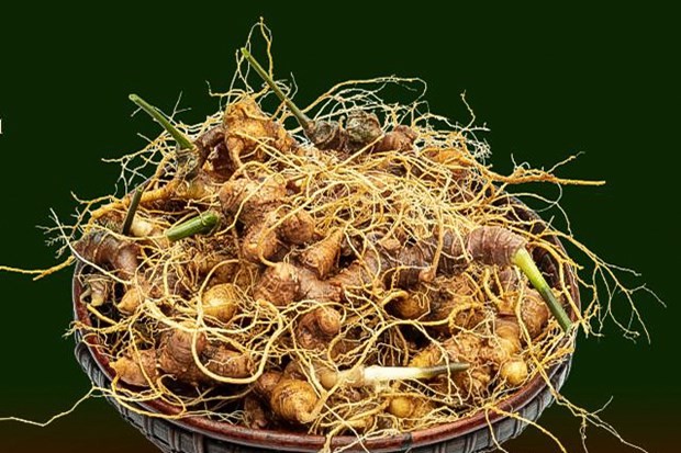 Vietnam aims to become world’s major ginseng producer - ảnh 1