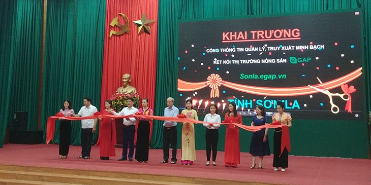 eGap technology helps promote e‑agriculture in Vietnam - ảnh 3