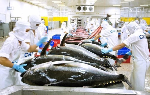 Tuna exports see bright prospects - ảnh 1