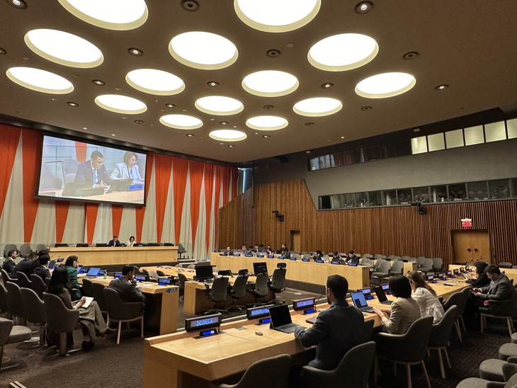 Vietnam fulfills Chairmanship of Asia Pacific Group at UN for April - ảnh 1