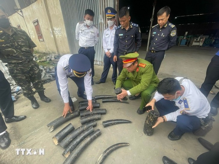 Vietnam customs agency continues implementing Operation Mekong Dragon  ​ - ảnh 1
