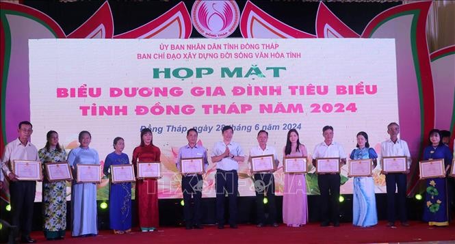 Vietnam marks Family Day with scores of activities - ảnh 1