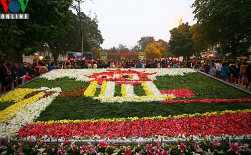 เทศกาล ดอกไม้ฮานอย ต้อนรับปีใหม่2012 - ảnh 4