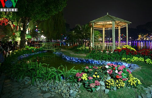 เทศกาล ดอกไม้ฮานอย ต้อนรับปีใหม่2012 - ảnh 6