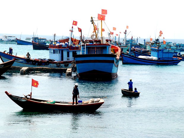 สมาพันธ์ประมง Lý Sơn-พลังแห่งความสามัคคีในทะเลตะวันออก - ảnh 1