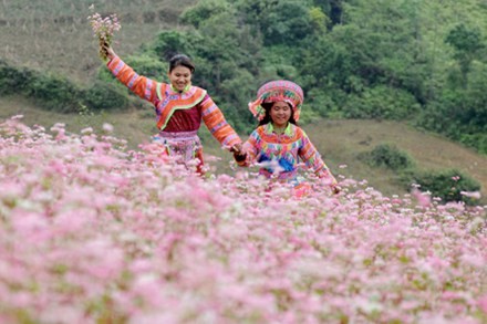 เยือนถิ่นปฏิวัติกาวบั่ง - ảnh 1