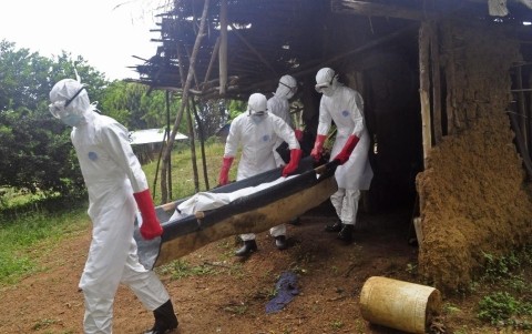 WHO: จำนวนผู้ป่วยที่เสียชีวิตจากการติดเชื้ออีโบลาของเซียราเลโอนเพิ่มขึ้น - ảnh 1