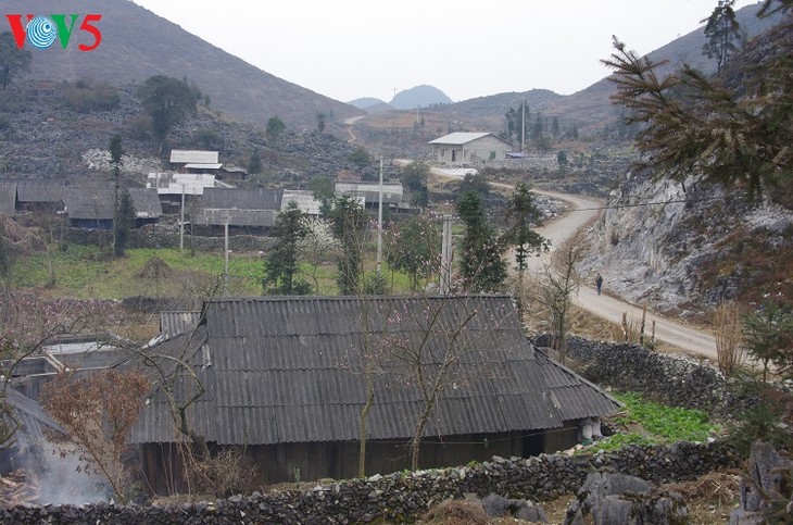บ้านของชาวม้งในเขตที่ราบสูงหินด่งวัน - ảnh 1