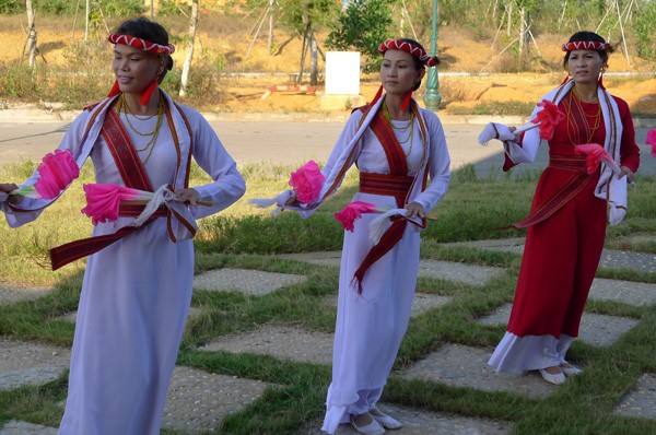 Vietnam Ethnic Groups Cultural Day opens - ảnh 1