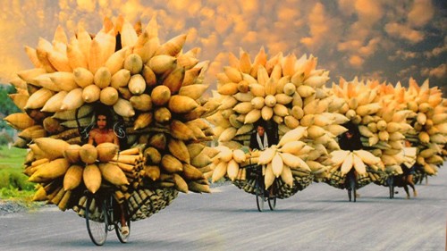 Photos feature Vietnamese cultural heritage - ảnh 7